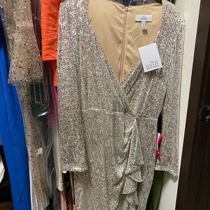 Belle Badgley Mischka Lizbeth Dress NWT